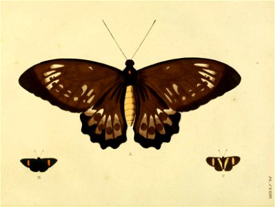 n99_w1150