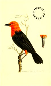 n158_w1150