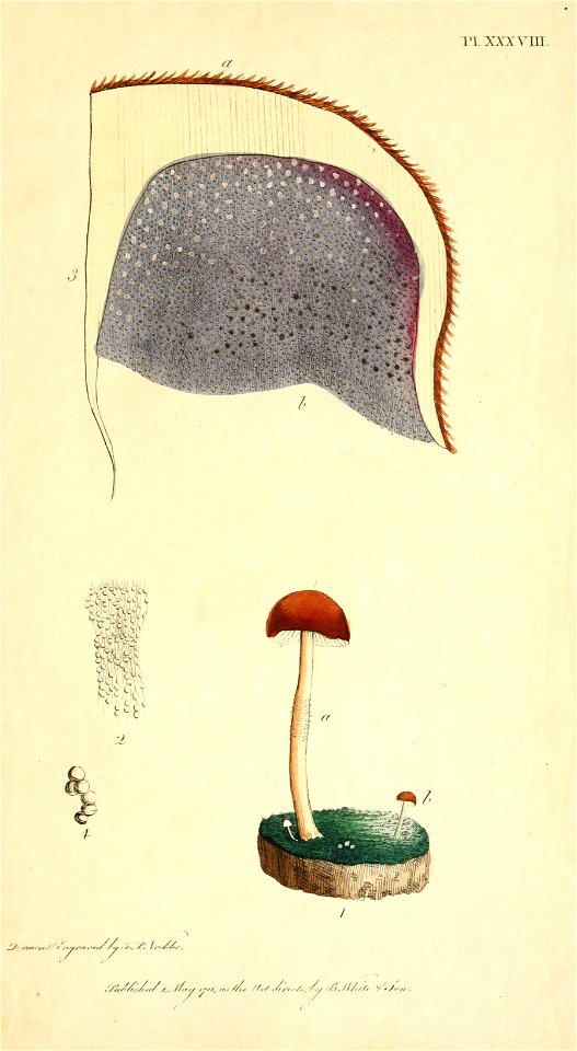 n158_w1150