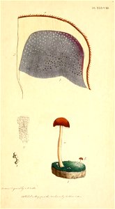 n158_w1150