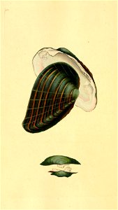 n485_w1150