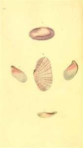 n217_w1150