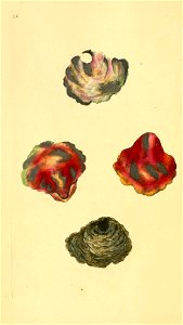 n139_w1150