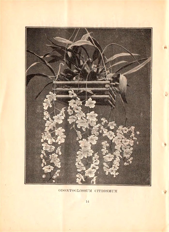 n15_w1150
