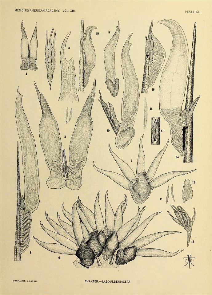 n288_w1150