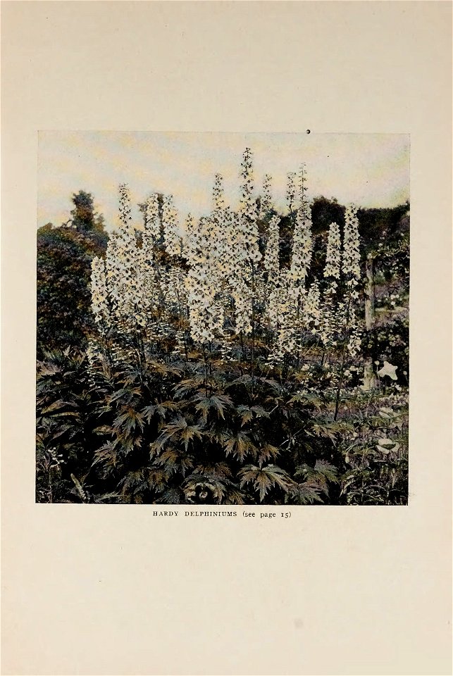 n18_w1150