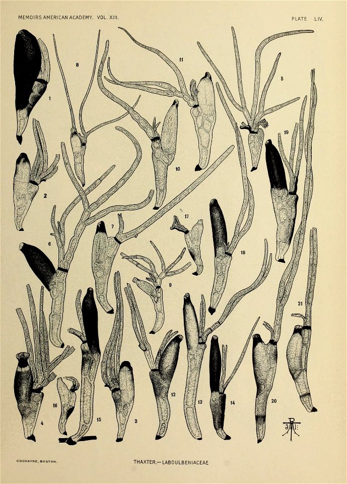 n314_w1150
