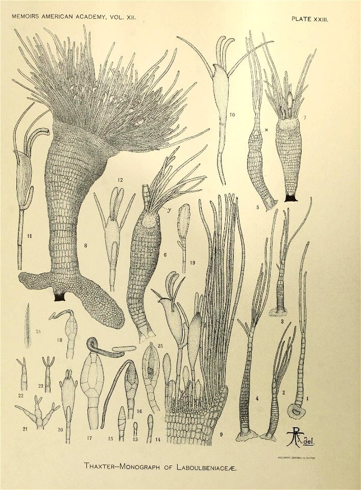 n289_w1150