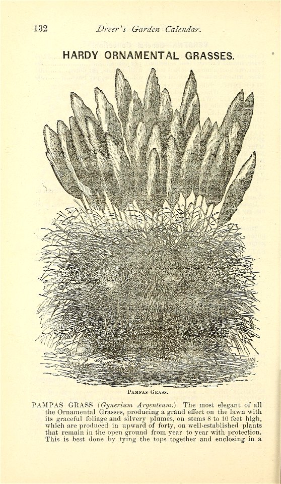 n137_w1150