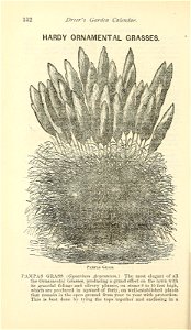 n137_w1150