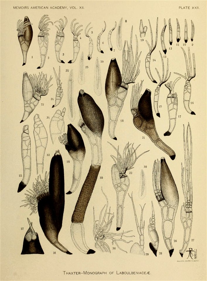 n286_w1150