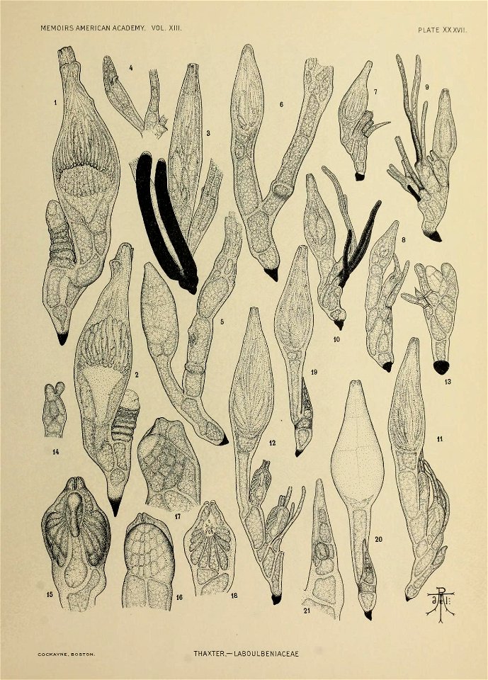 n280_w1150