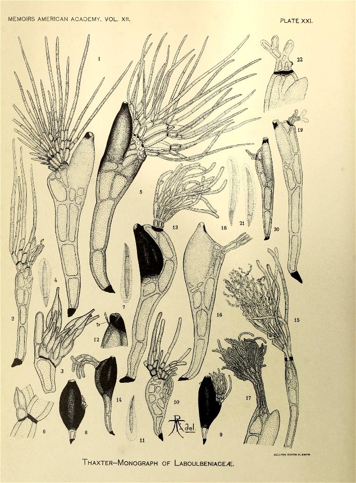 n283_w1150
