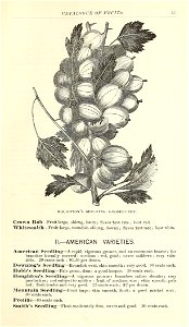 n58_w1150