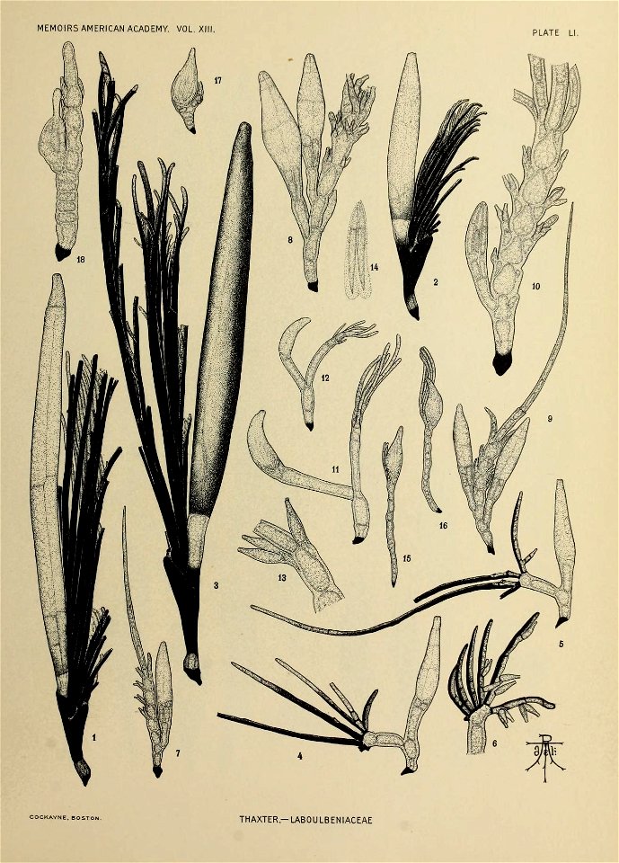 n308_w1150