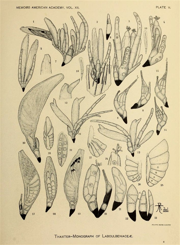 n232_w1150