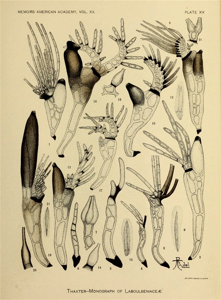 n280_w1150