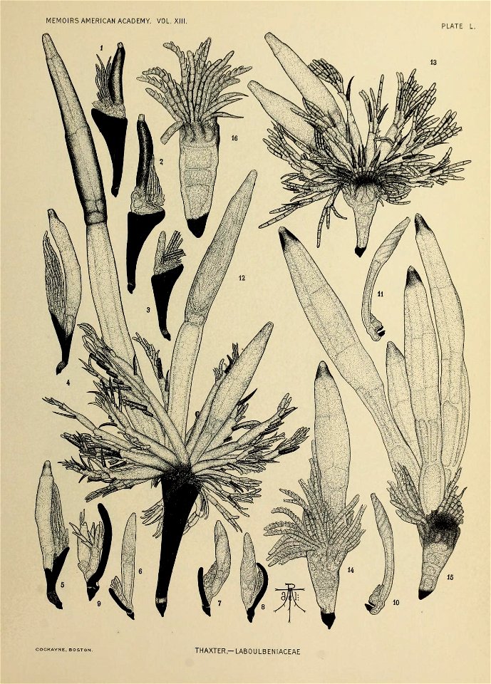 n306_w1150