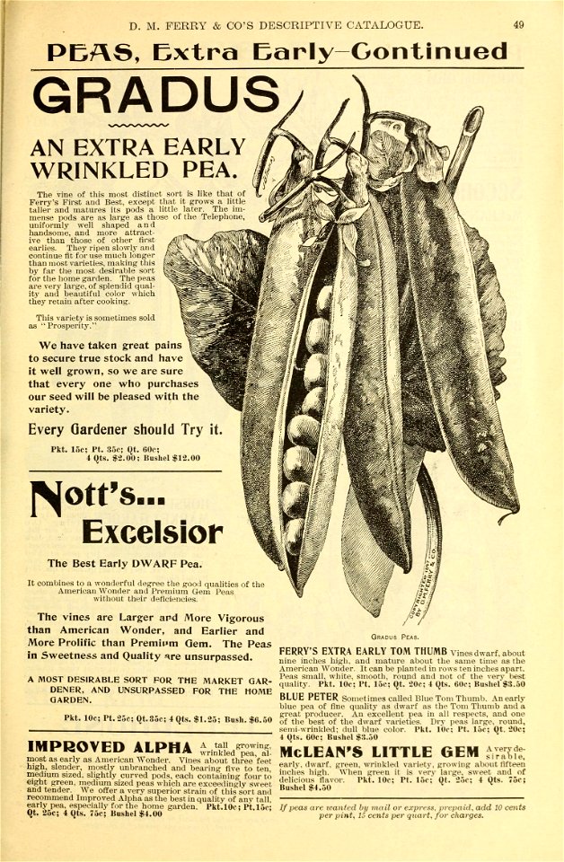n48_w1150