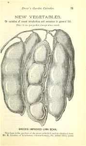 n36_w1150