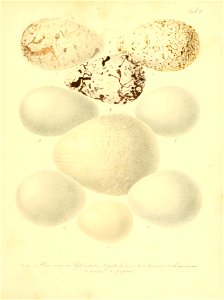 n414_w1150