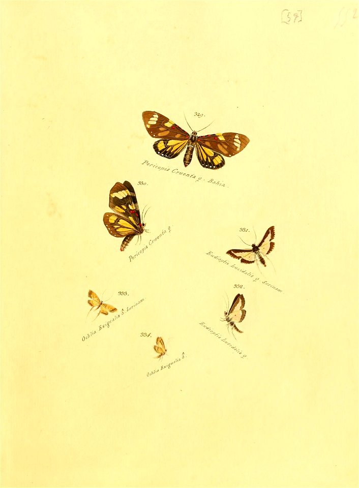 n120_w1150