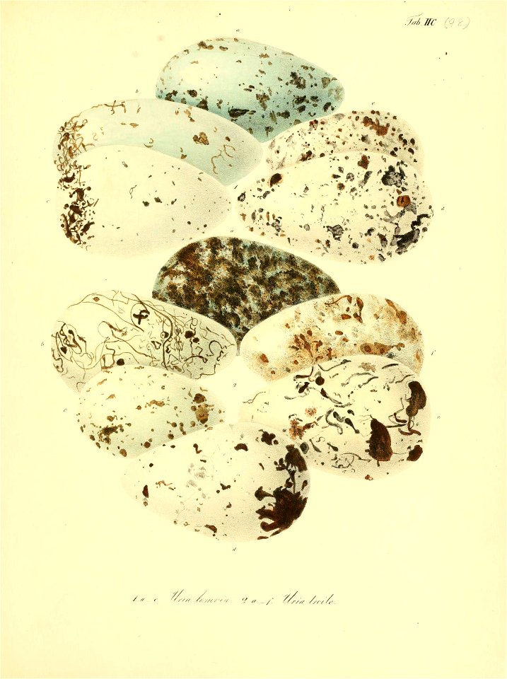 n408_w1150