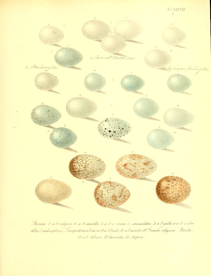 n178_w1150
