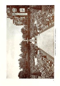 n4_w1150