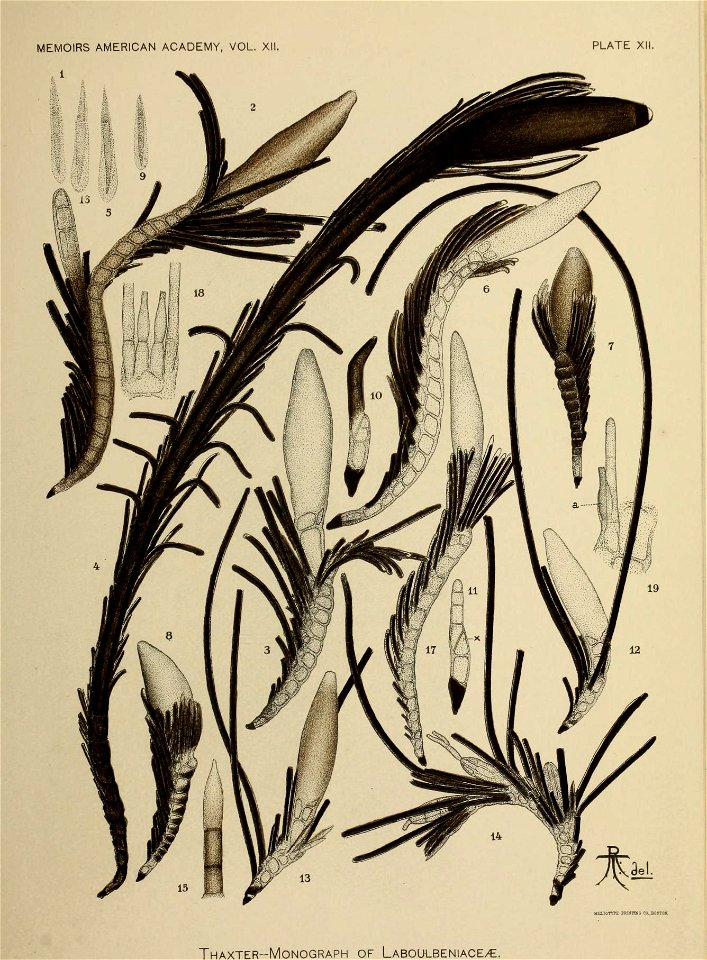n256_w1150