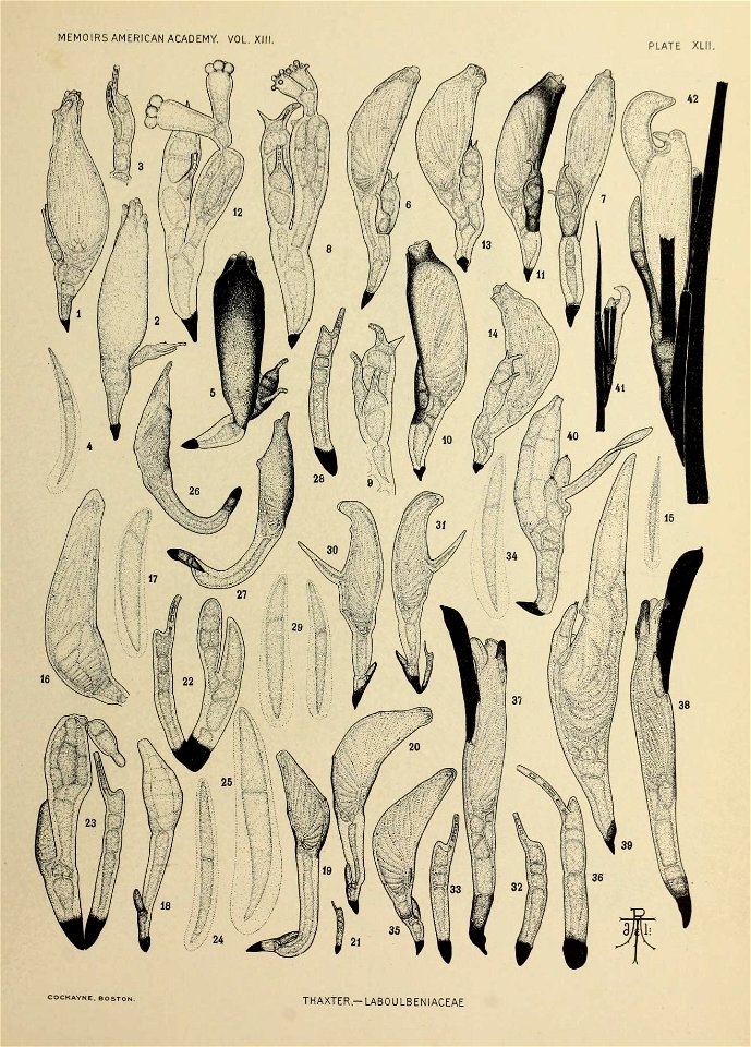 n290_w1150