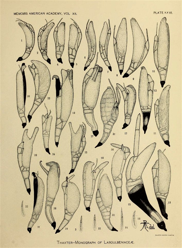 n298_w1150