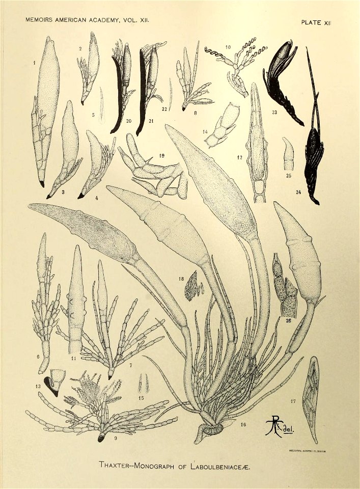n253_w1150