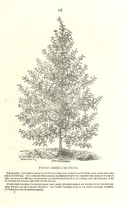 n36_w1150