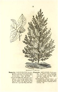 n19_w1150