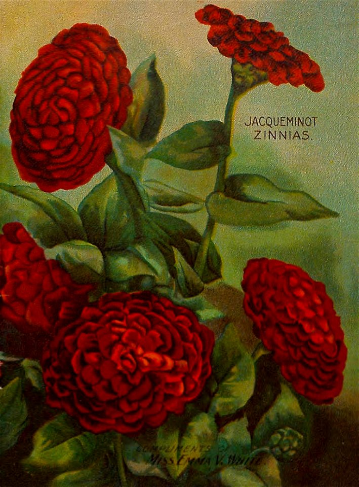 n0_w1150