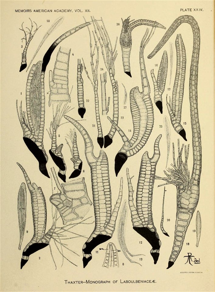 n292_w1150