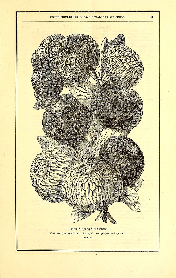 n44_w1150