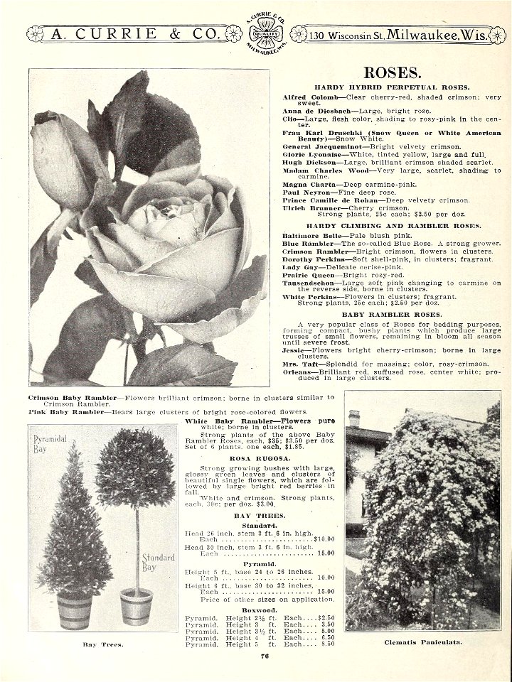 n81_w1150