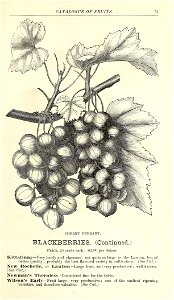 n56_w1150
