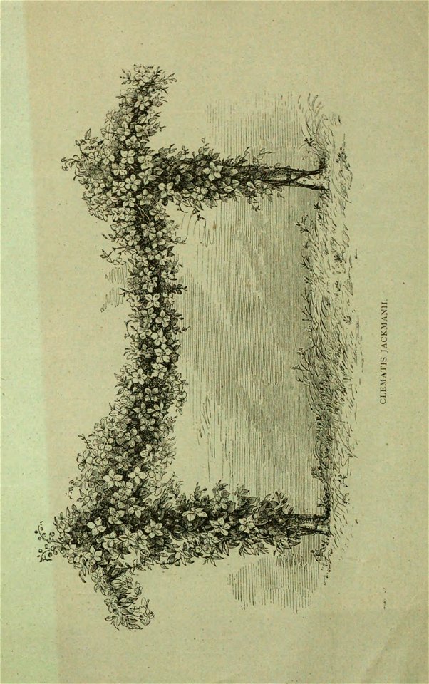 n89_w1150