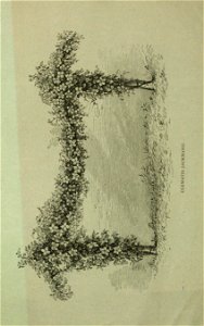 n89_w1150