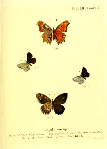 n112_w1150
