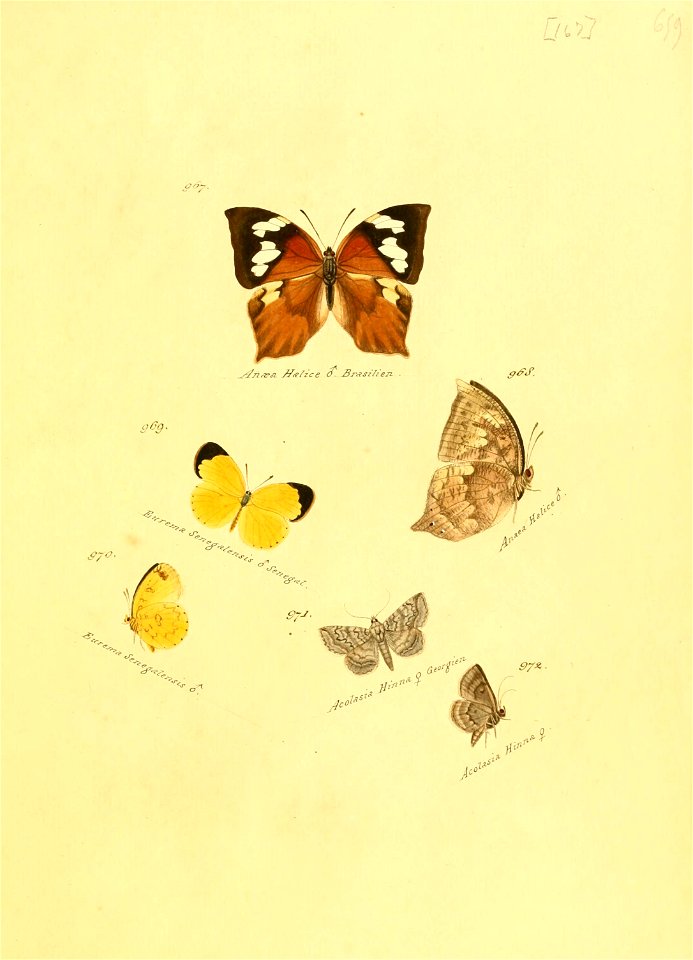 n336_w1150