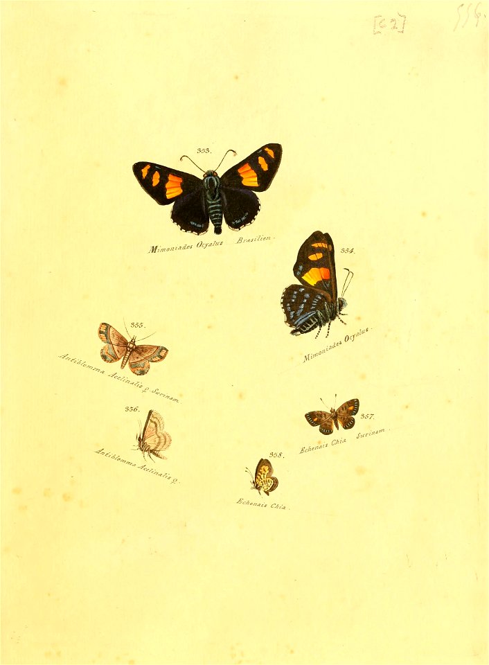 n126_w1150
