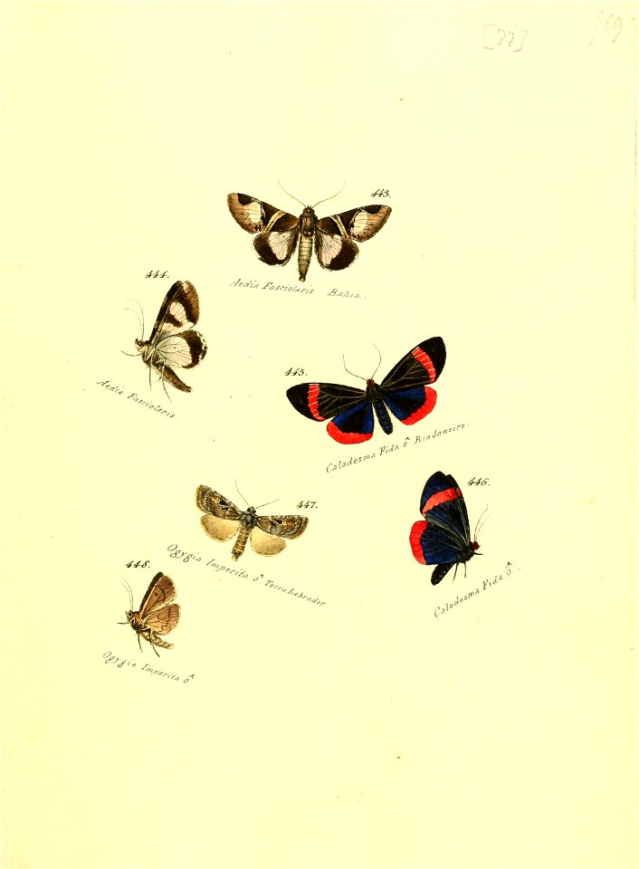 n156_w1150