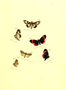 n156_w1150
