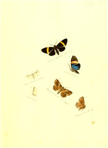 n36_w1150