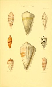n358_w1150
