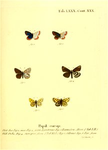 n168_w1150